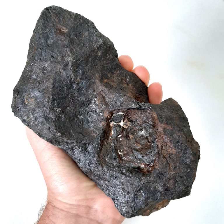 Canyon Diablo meteorite. Huge graphite inclusion.