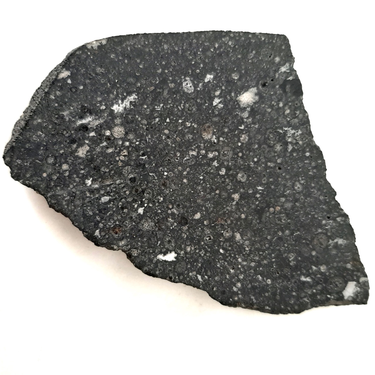 Allende meteorite. CV3 chondrite. Endcut.