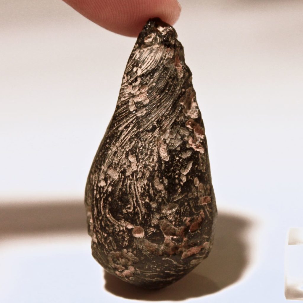 My Collection of Meteorites.