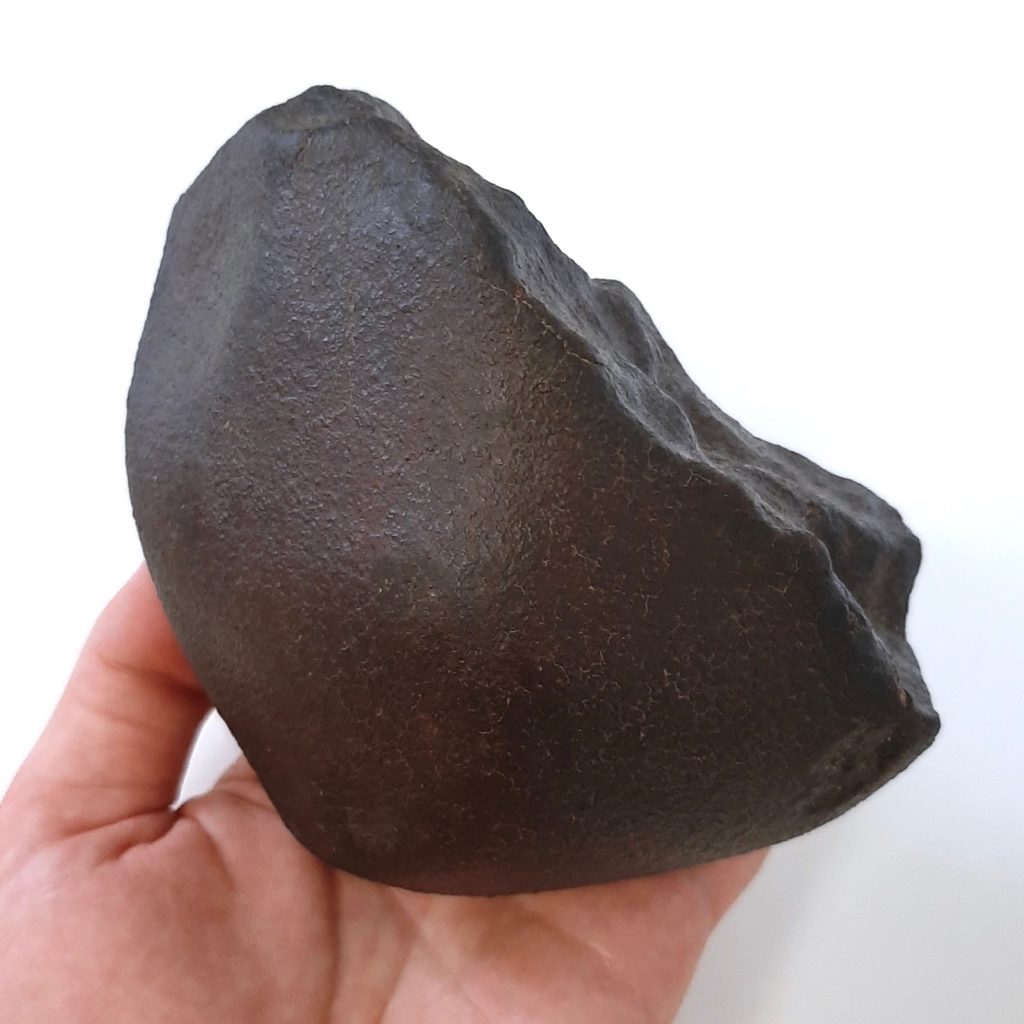 NWA 869, chondrite. 1450g. Collection