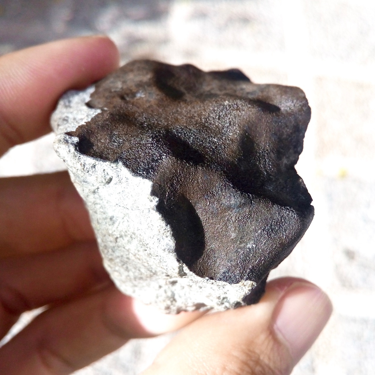 Kheneg Ljouad meteorite. LL5/6 chondrite.
