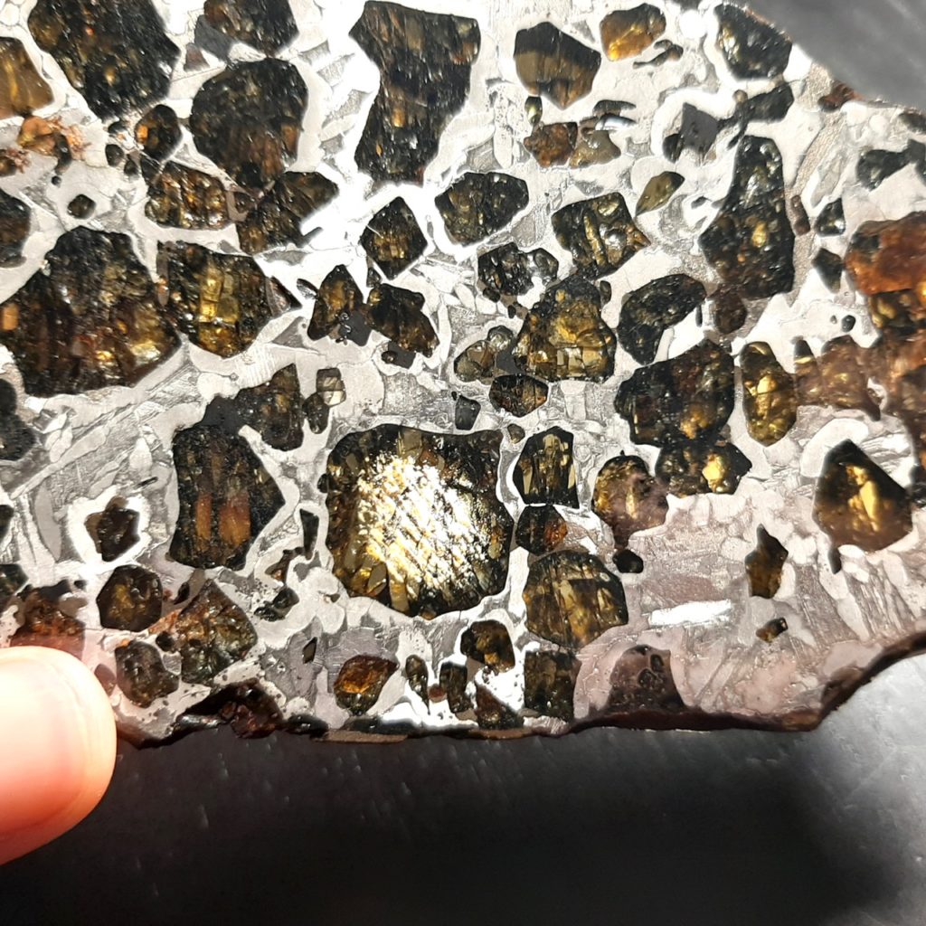 NWA 2957. Pallasite. 134g. Collection