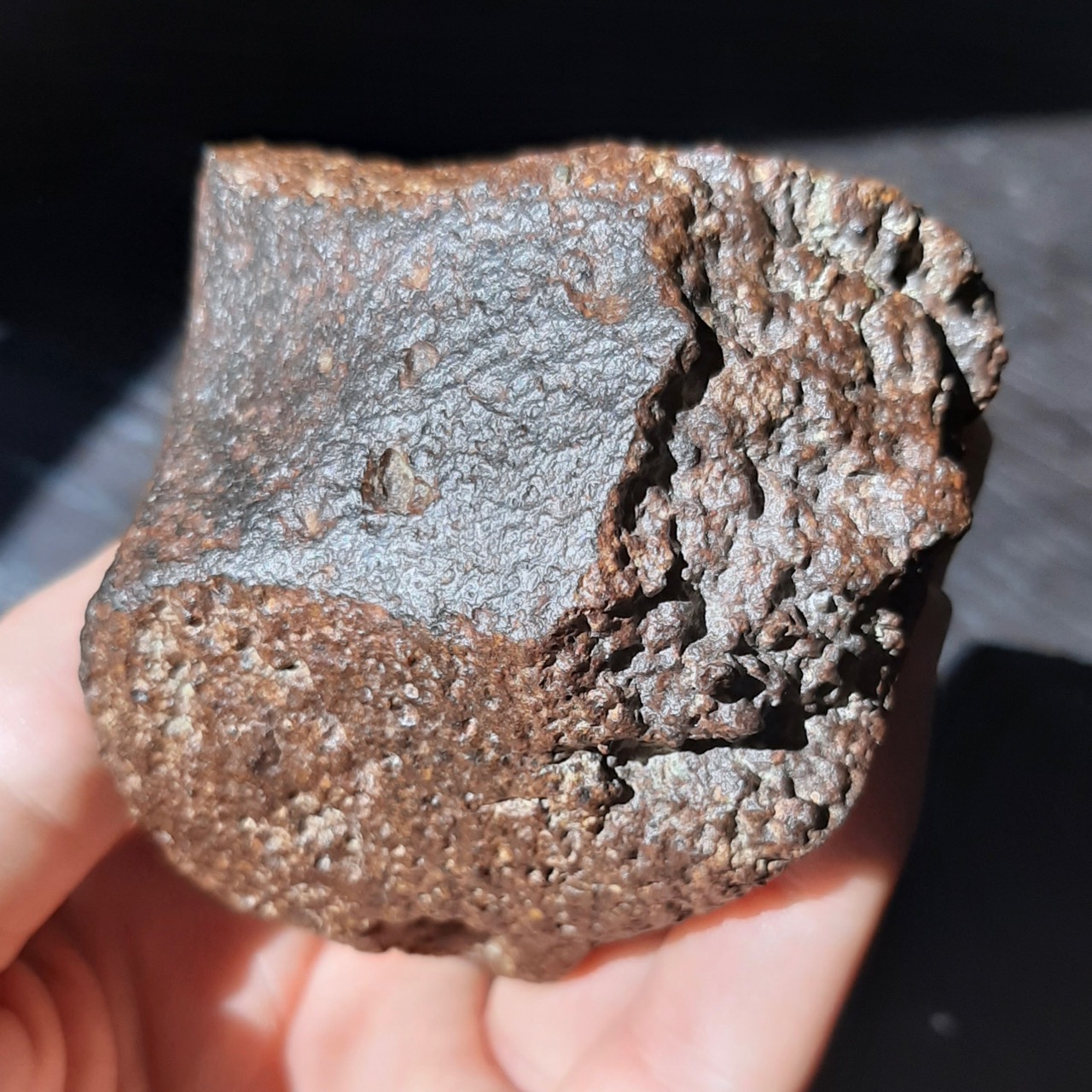NWA chondrite meteorite. Probably L3 type.