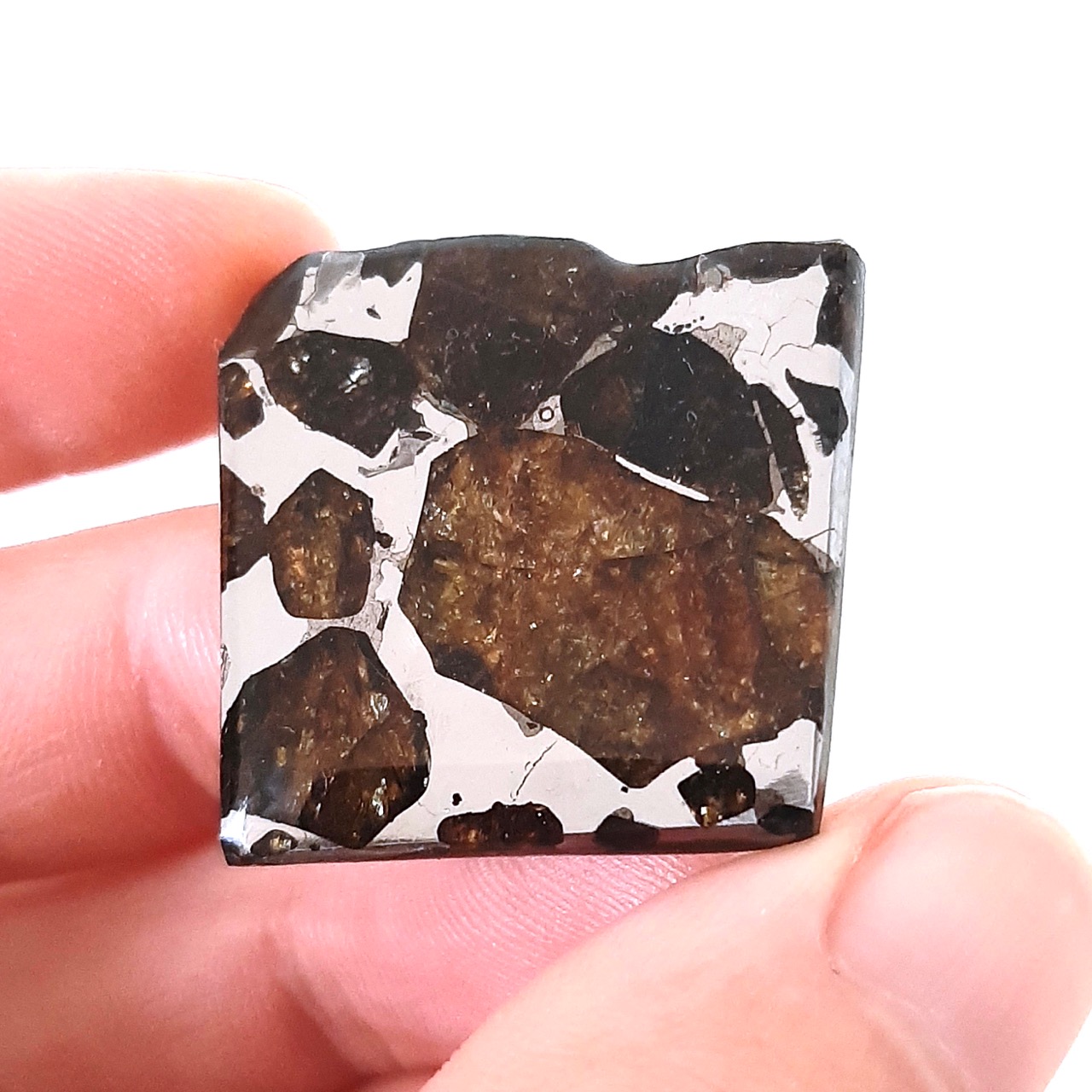 Quijingue meteorite. Brazilian pallasite. Huge olivine.