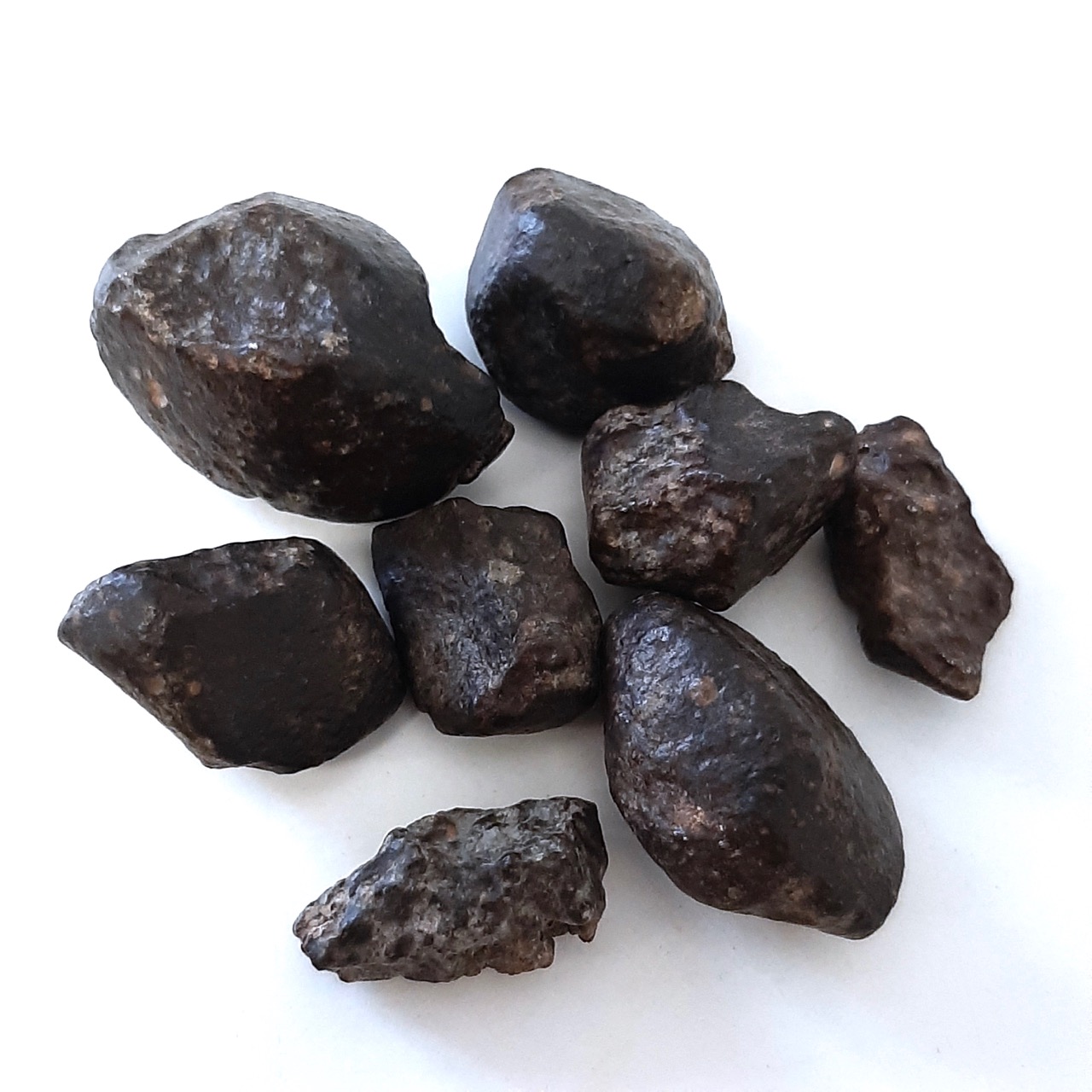NWA 869 meteorite. L3-6 chondrite. Lot.