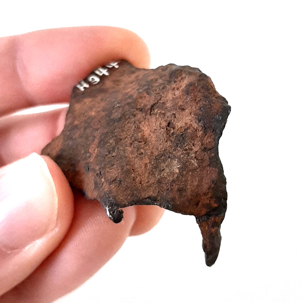 Henbury meteorite. Twisted shape.