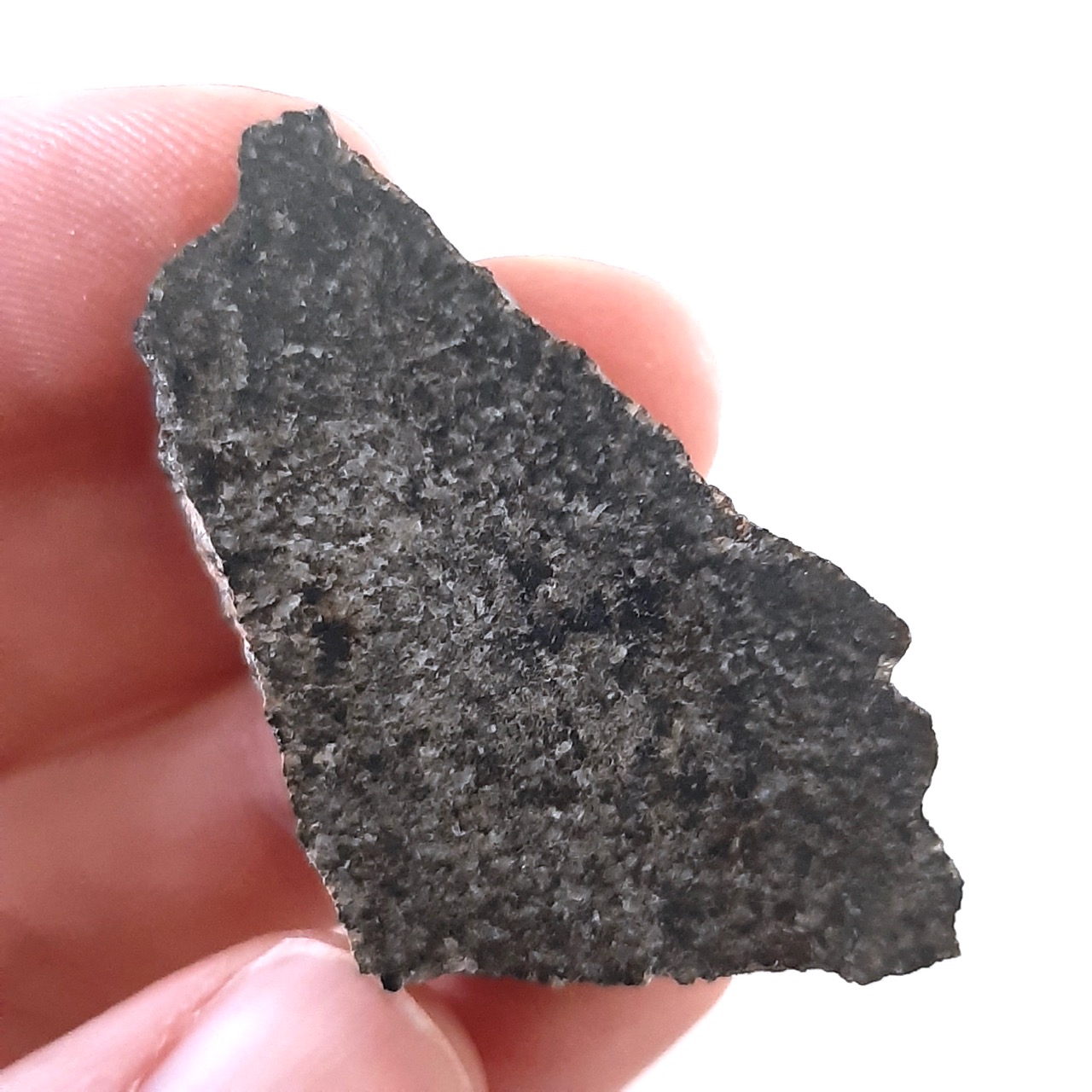 Martian meteorite. NWA 13190. Rock from Mars. Endcut.