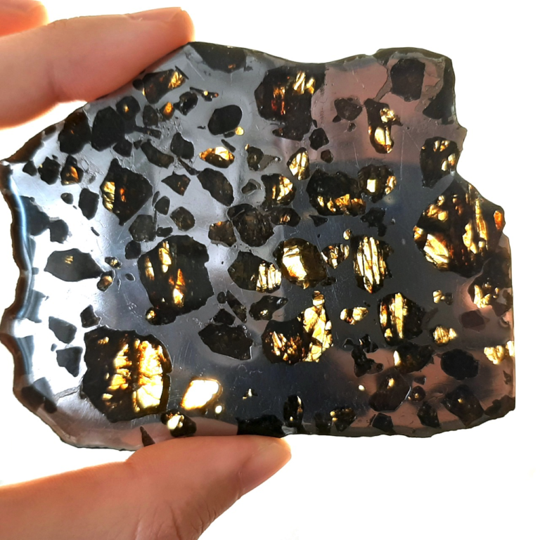 NWA 2957 meteorite. One of the best pallasites in the world.