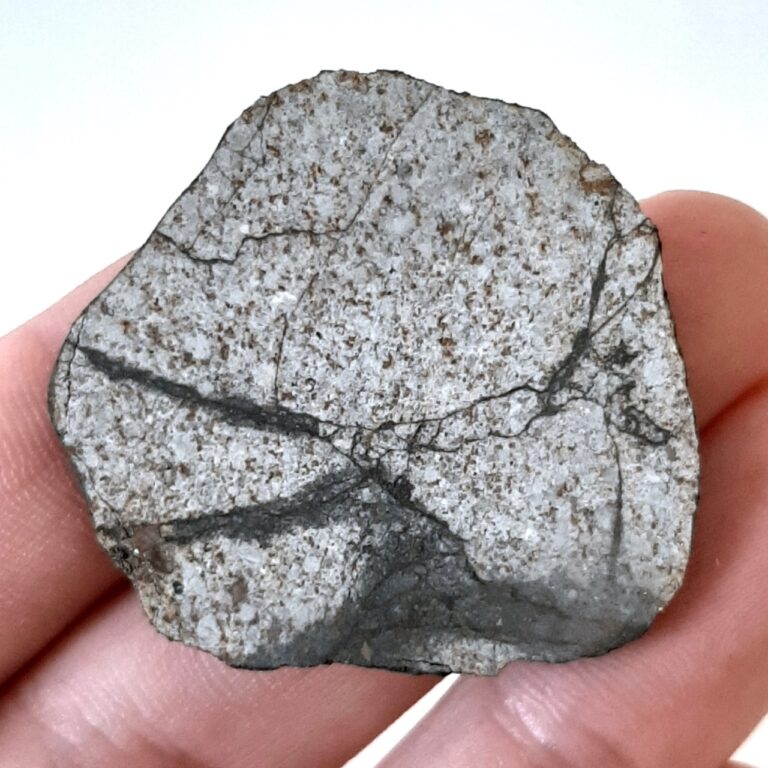 Viñales meteorite. L6 chondrite. Slice.