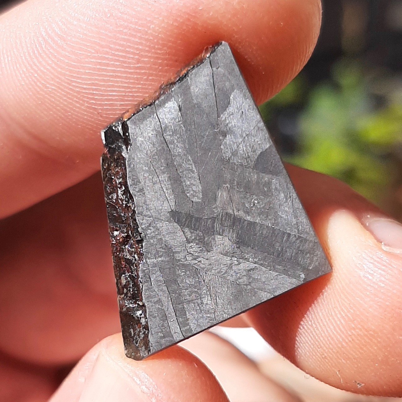 Hidden Valley meteorite. Rare iron from Australia.
