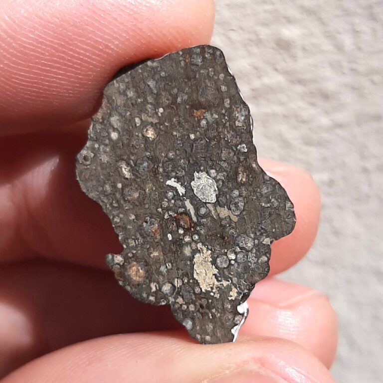 NWA 13030 meteorite. CV3 chondrite. Endcut.