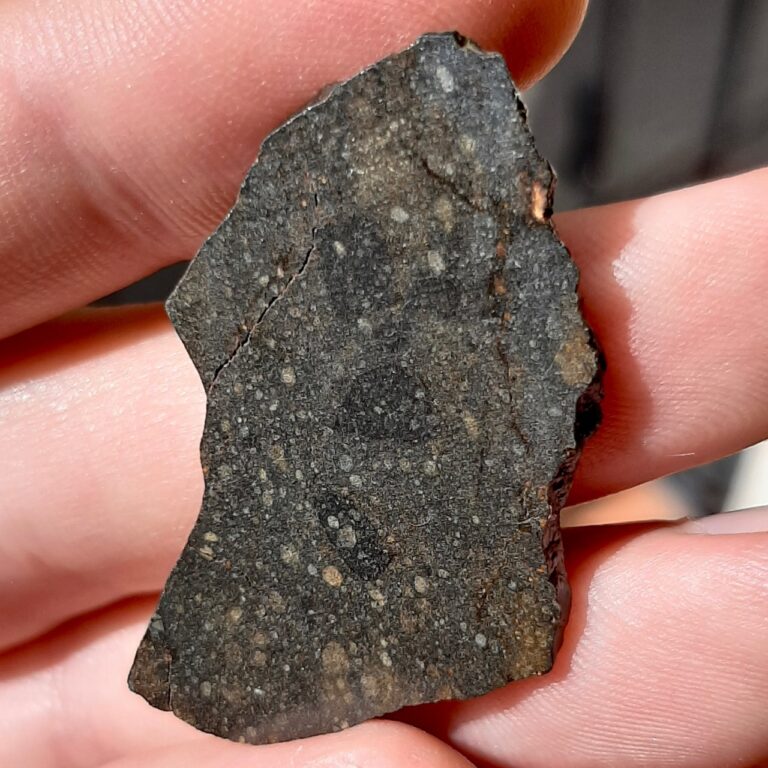 R chondrite. NWA 13518. Rumuruti meteorite, rare type. Slice.