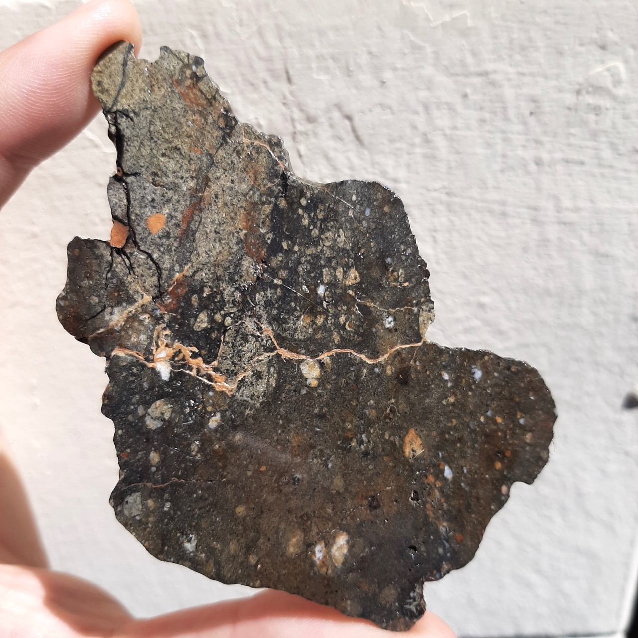 NWA 8583 meteorite. Eucrite with amazing texture.