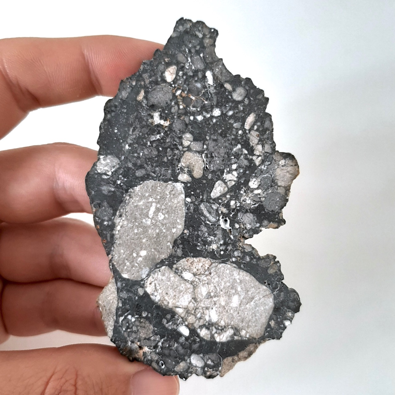 Astonishing lunar meteorite NWA 13859. With troctolite.