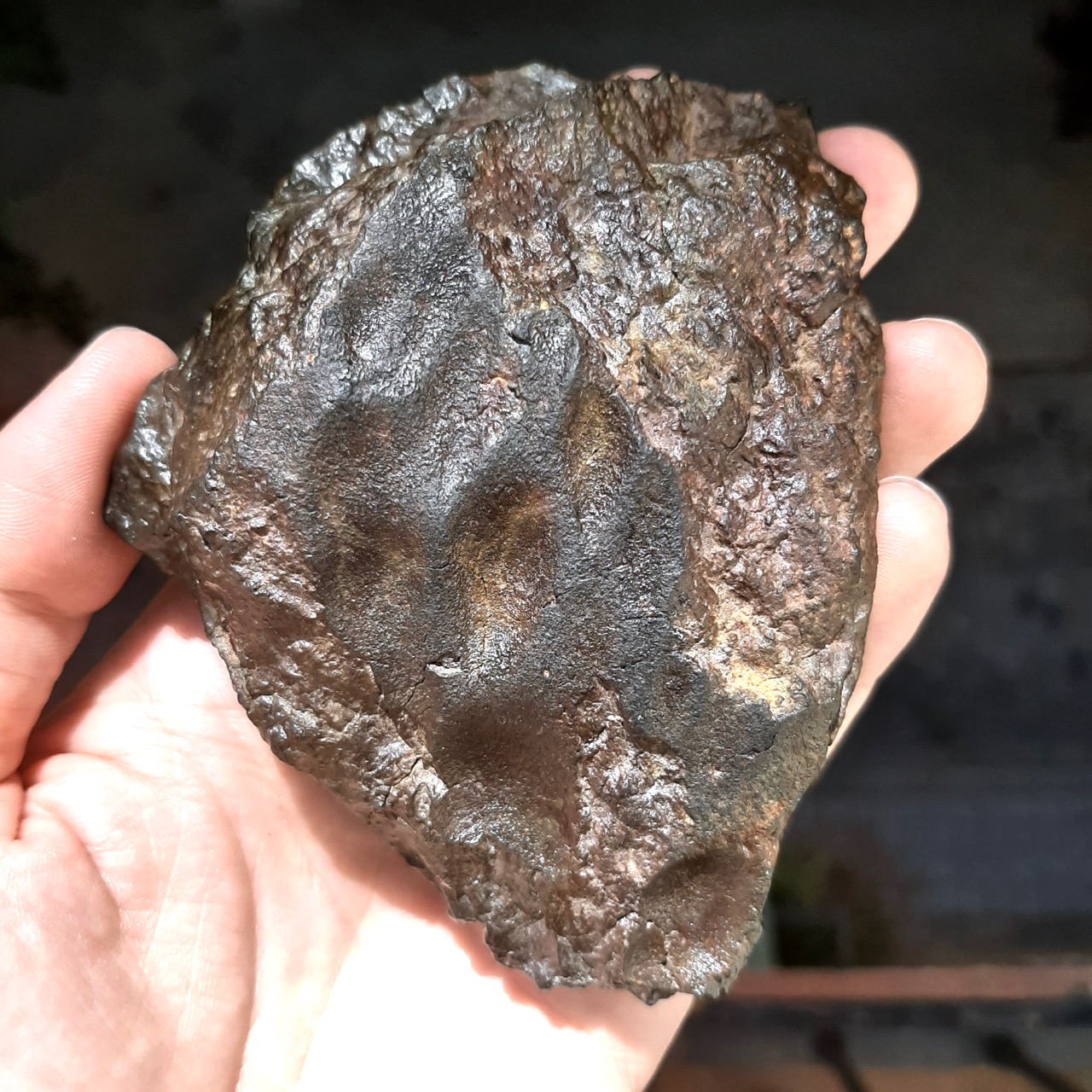 R chondrite. NWA 13518. Beautiful rumuruti meteorite with regmaglypts.