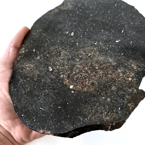 Huge slice of chondrite meteorite. 18 cm diameter Meteolovers