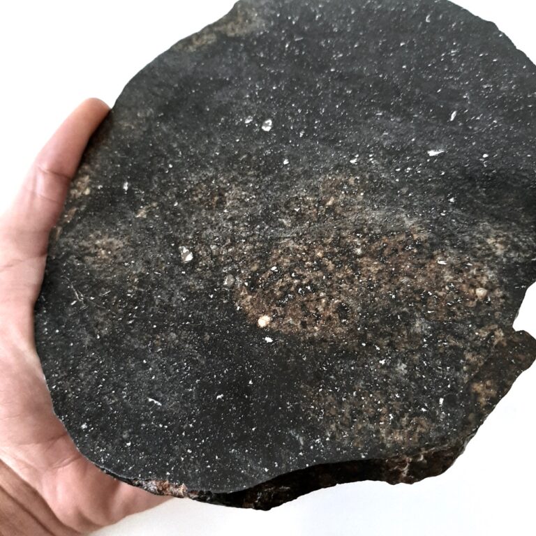 Huge slice of chondrite meteorite. 18 cm diameter.