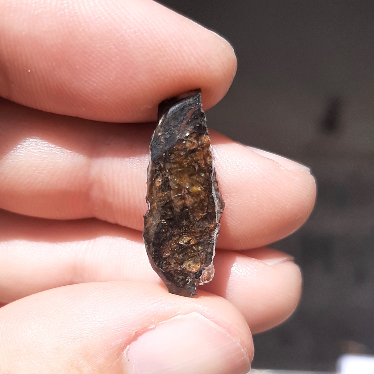 Jepara pallasite meteorite. Small slice.