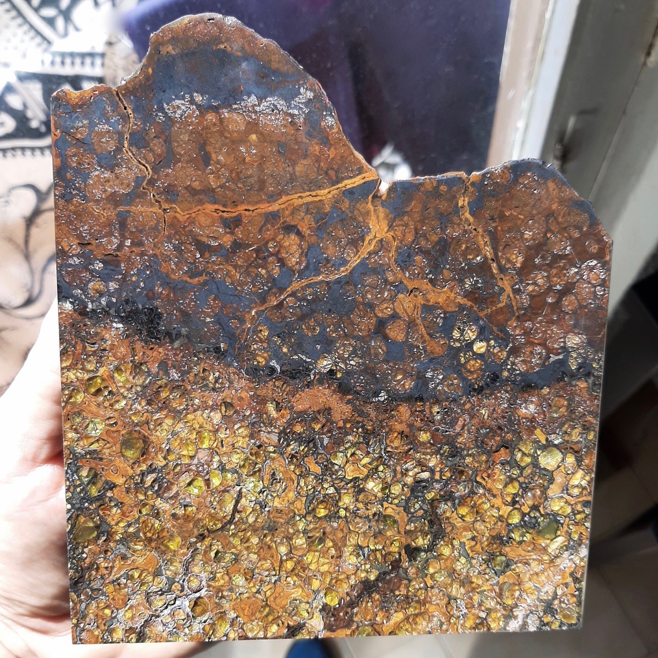 Jepara meteorite. Gem Quality pallasite with crust.