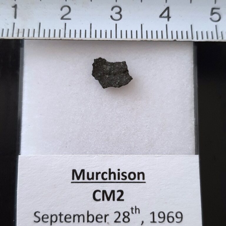 Murchison meteorite. CM2 with pre-solar grains.