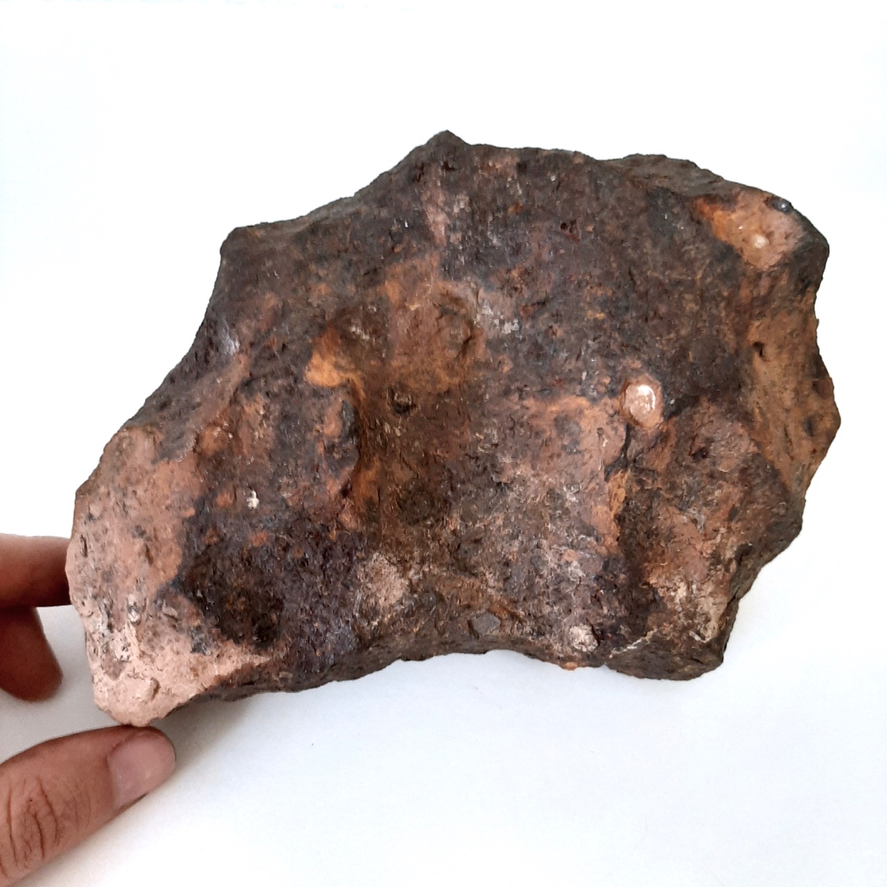 Canyon Diablo meteorite. Huge piece with patina.