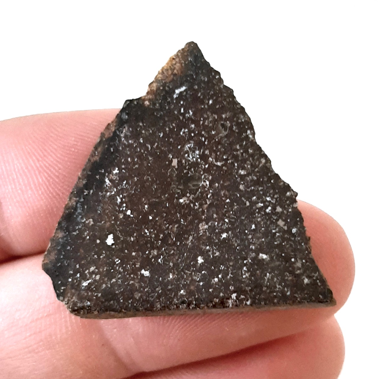 Souslovo meteorite. L4 chondrite. Possible fall in 1966.