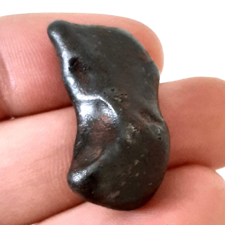 Taza meteorite. NWA 859. Oriented.