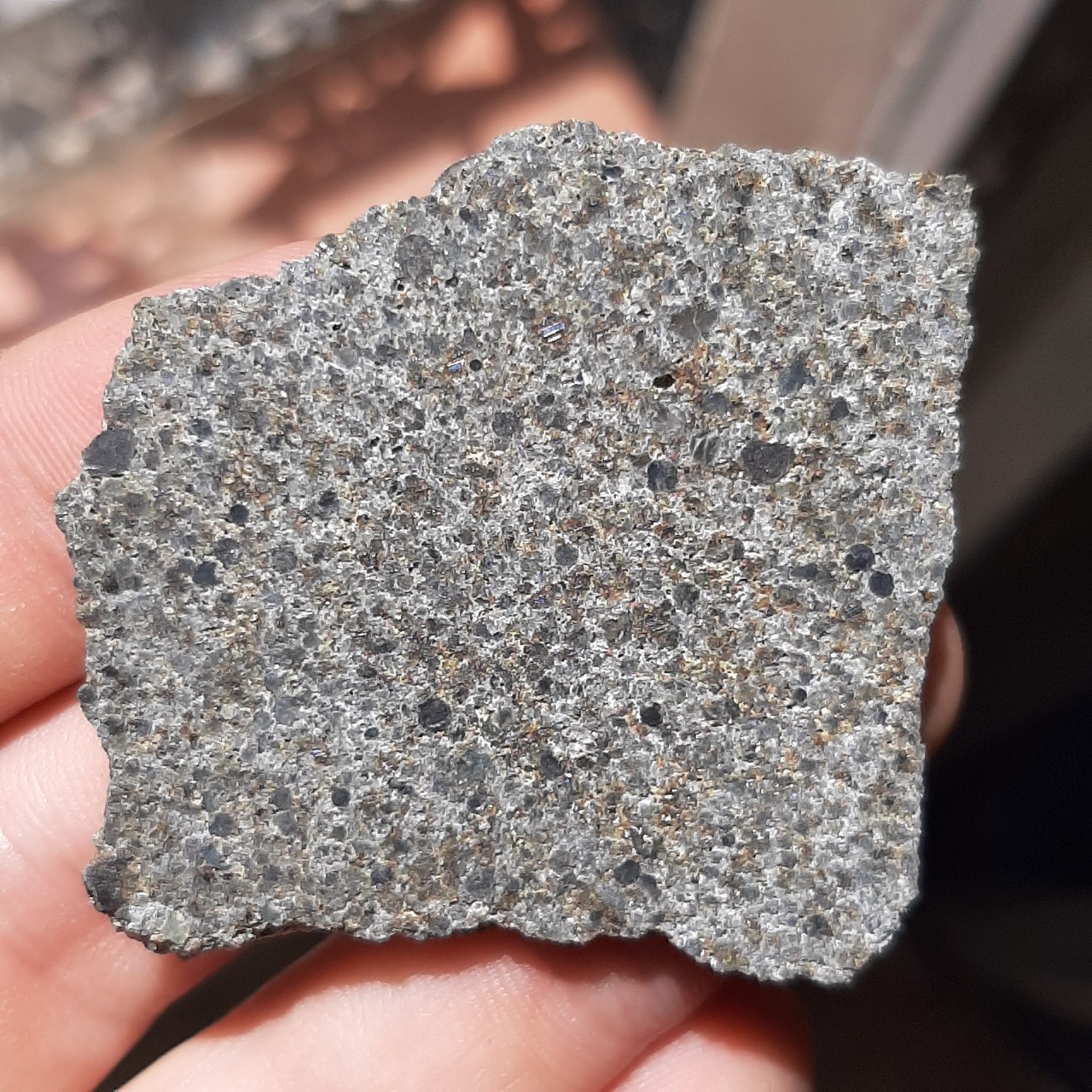 Mount Tazerzait meteorite. L5 chondrite. Observed fall.
