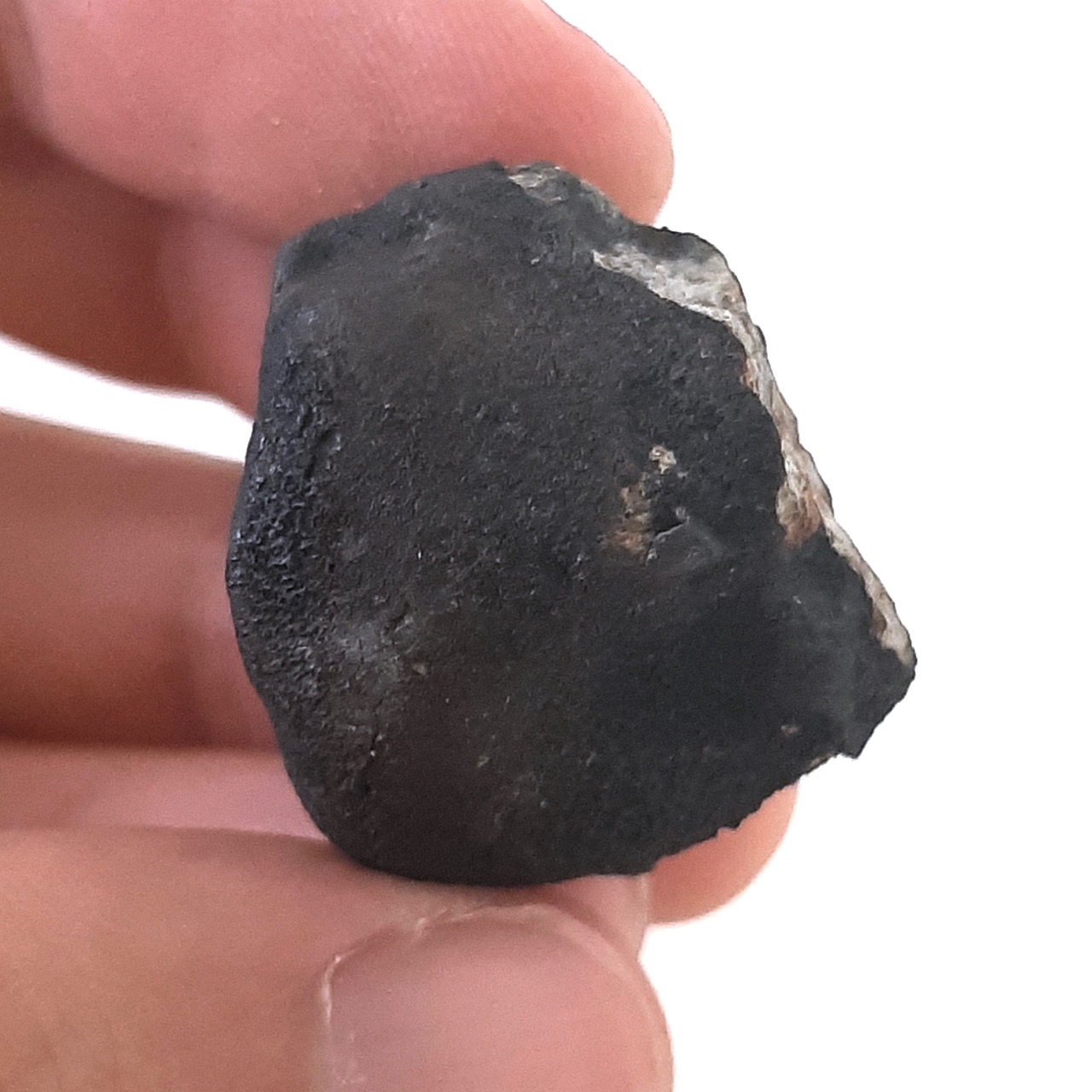 Viñales meteorite. L6 chondrite. 70% crust.