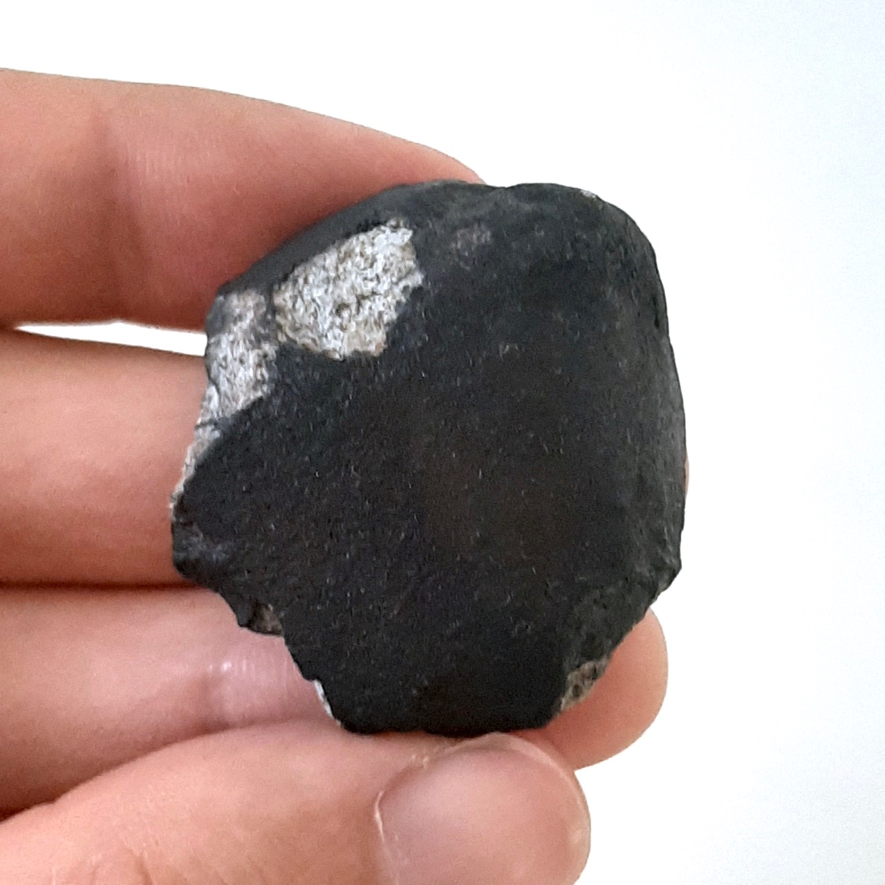 Viñales meteorite. L6 chondrite. 50% crust.