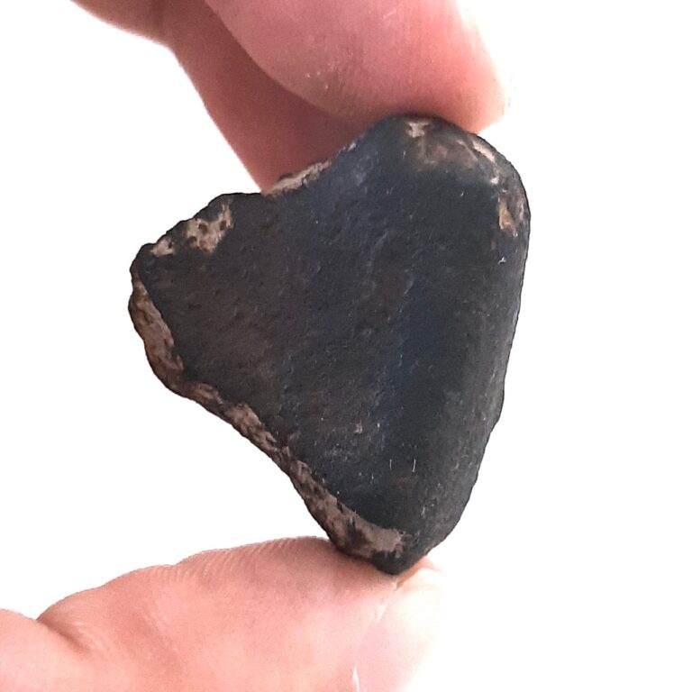 Gao Guenie meteorite. H5 chondrite.