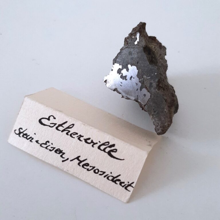 Estherville meteorite. Mesosiderite. Monnig number M123.11.