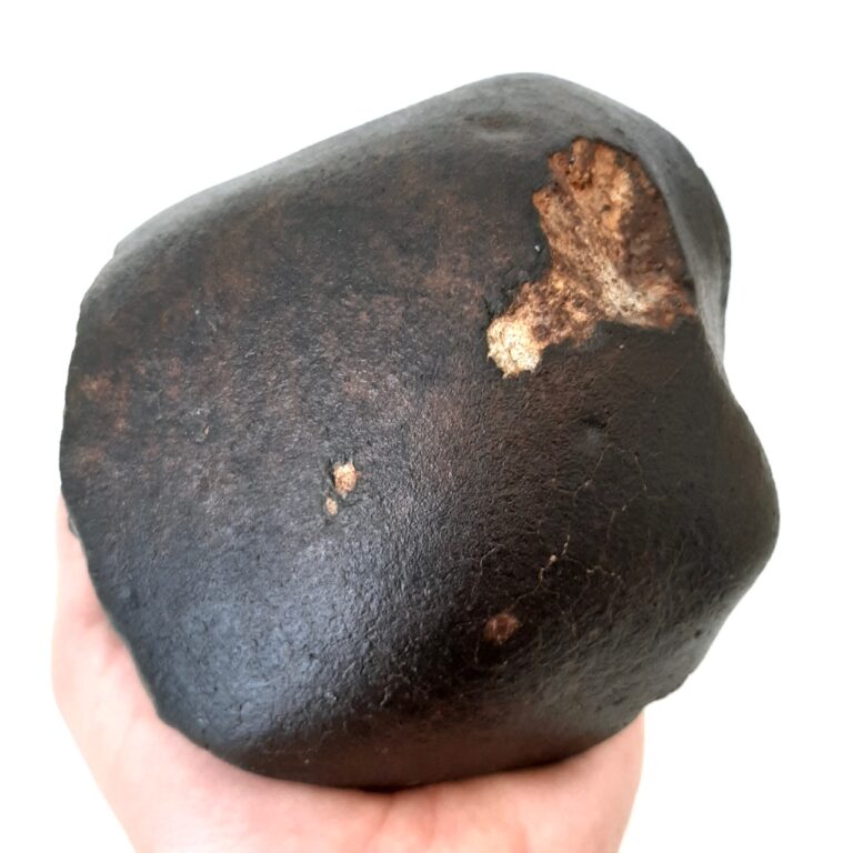 Oriented chondrite meteorite. Fusion crust.