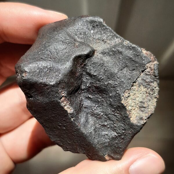 Meteorites for sale Meteolovers