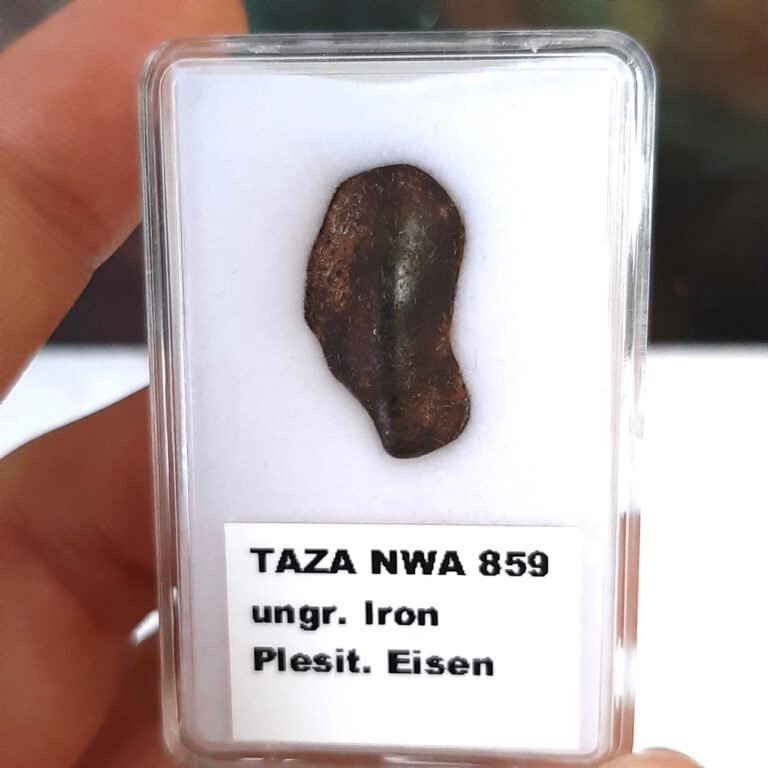Oriented Taza meteorite. NWA 859. In collection box.