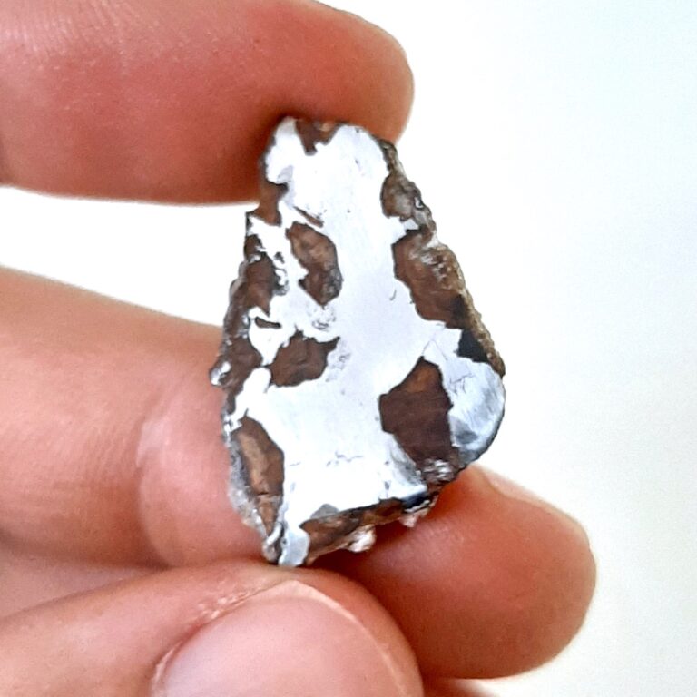 Imilac meteorite. Pallasite from Chile. Endcut.