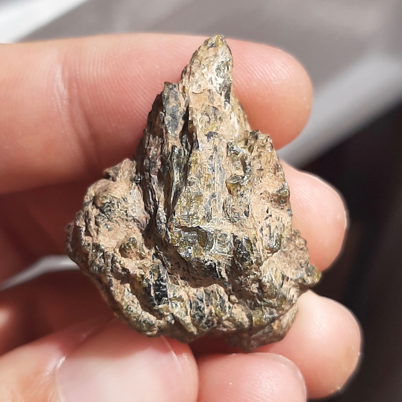 NWA 7831 meteorite. Green crystals diogenite.