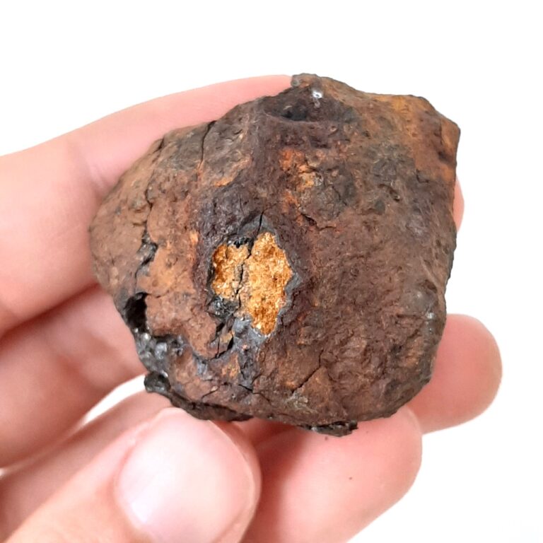Brenham meteorite. Pallasite from Kansas.