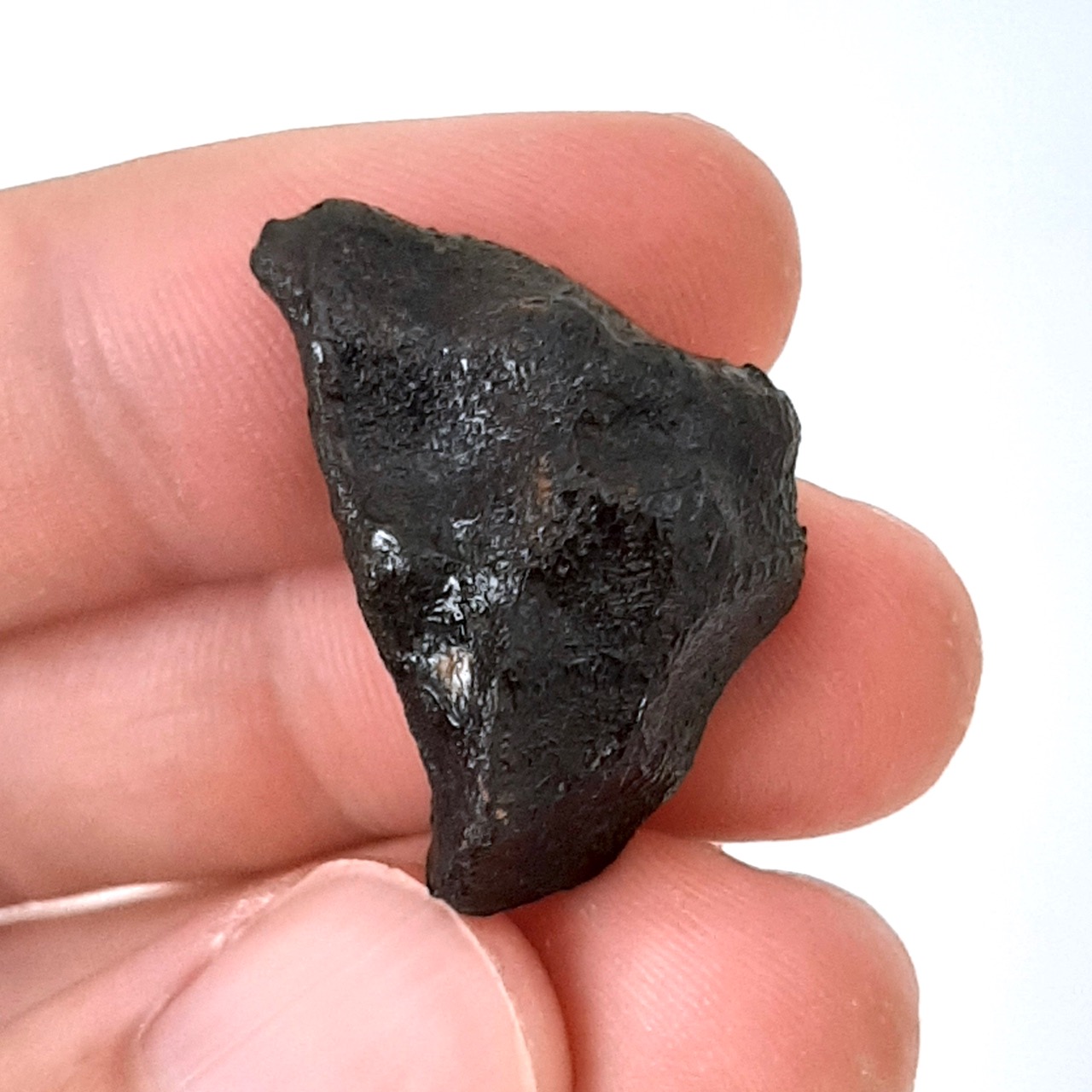 Camel Donga meteorite. 100% crusted eucrite.