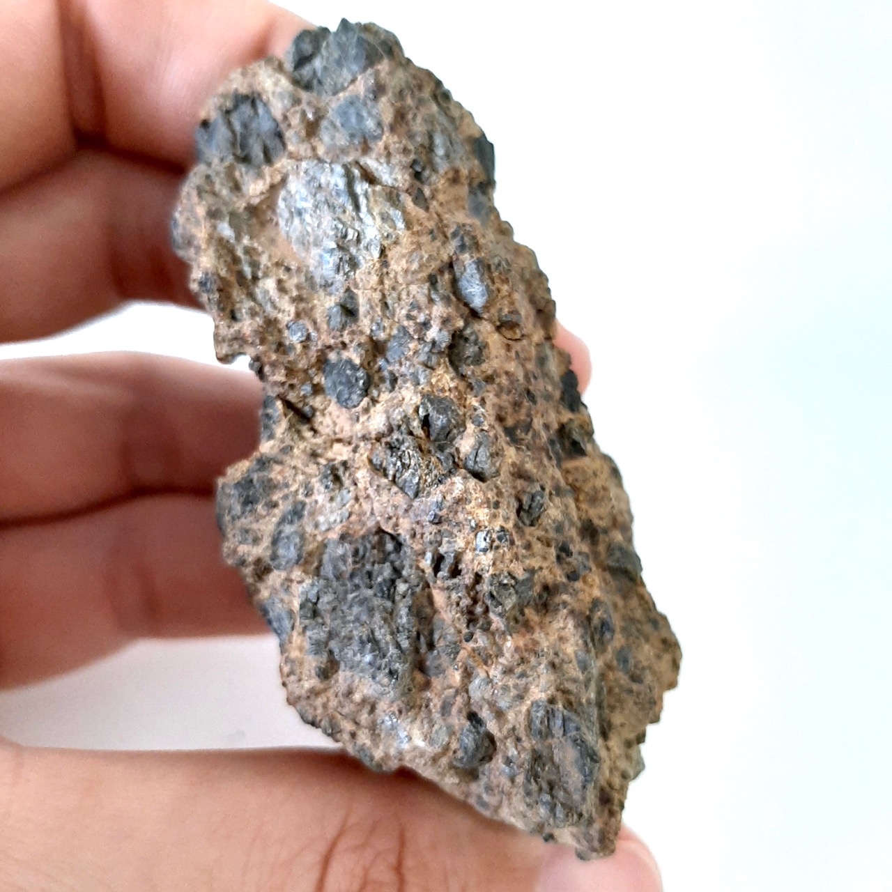 NWA 14056 meteorite. New diogenite. Large pyroxenes.