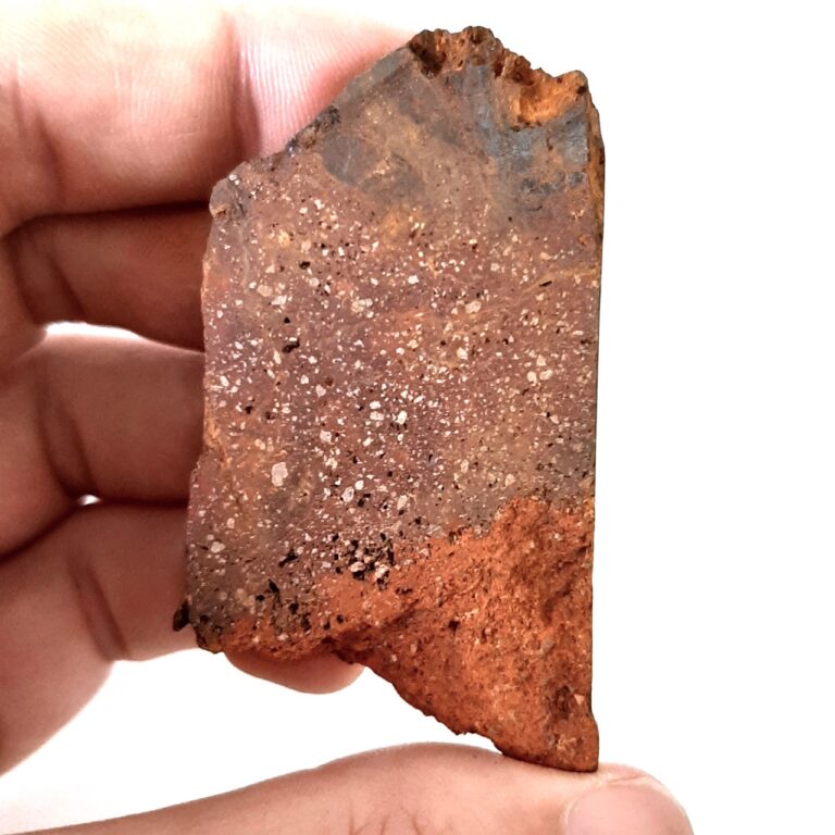 Santa Catharina meteorite. Rare ataxite shale from Brazil.