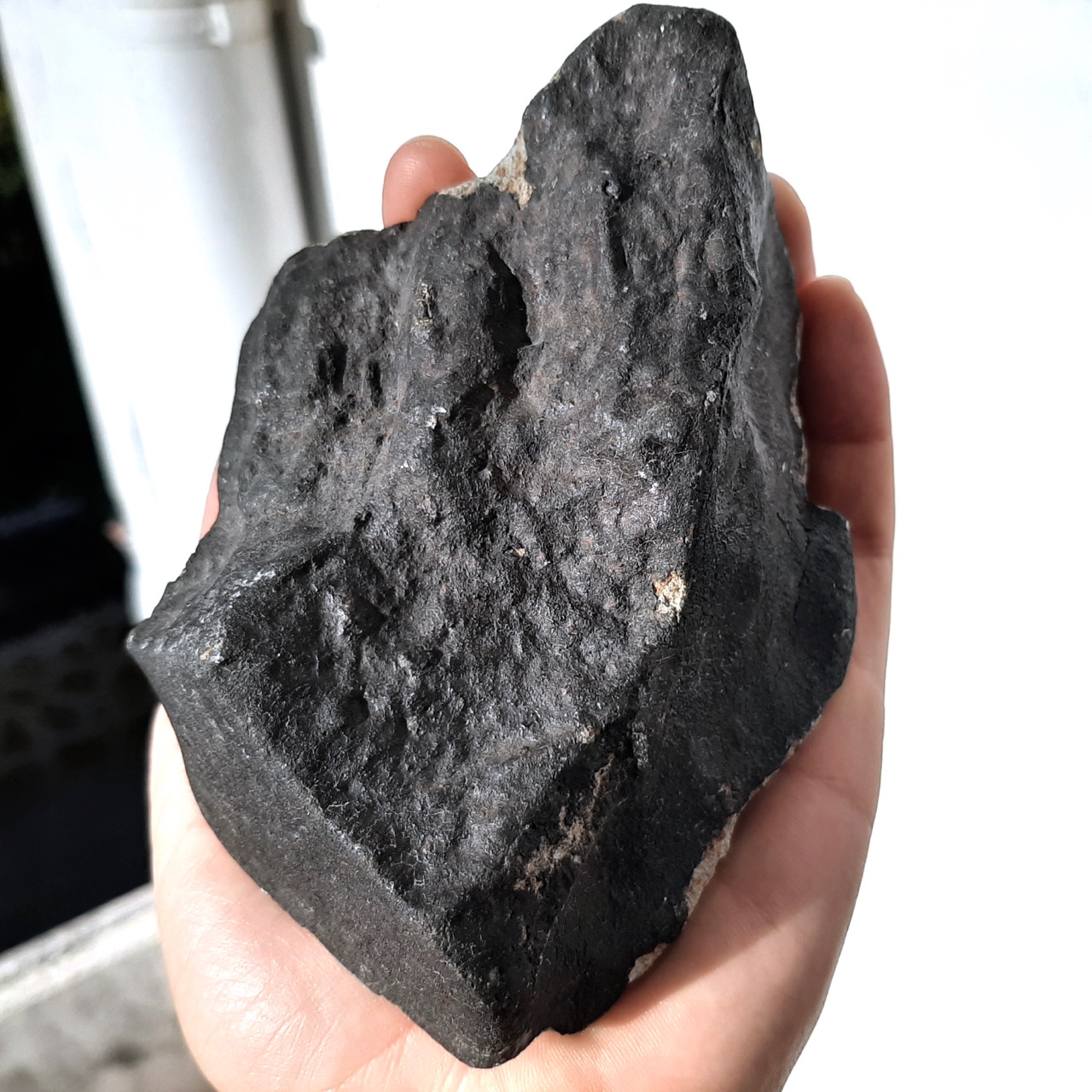 Ghadamis meteorite. HaH 346. Fusion crust 60%.