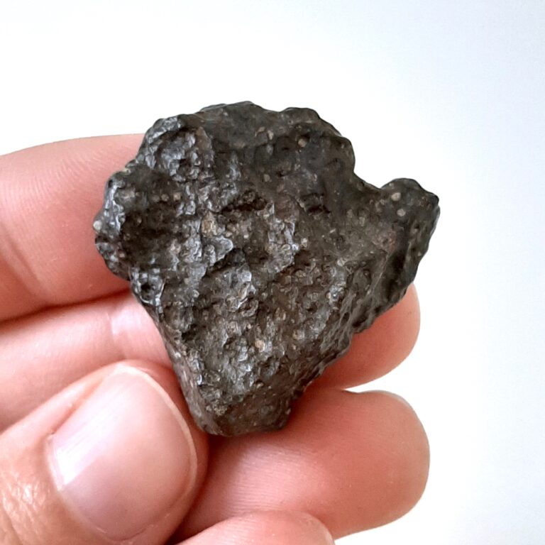 NWA 13030 meteorite. CV3 chondrite. Individual.