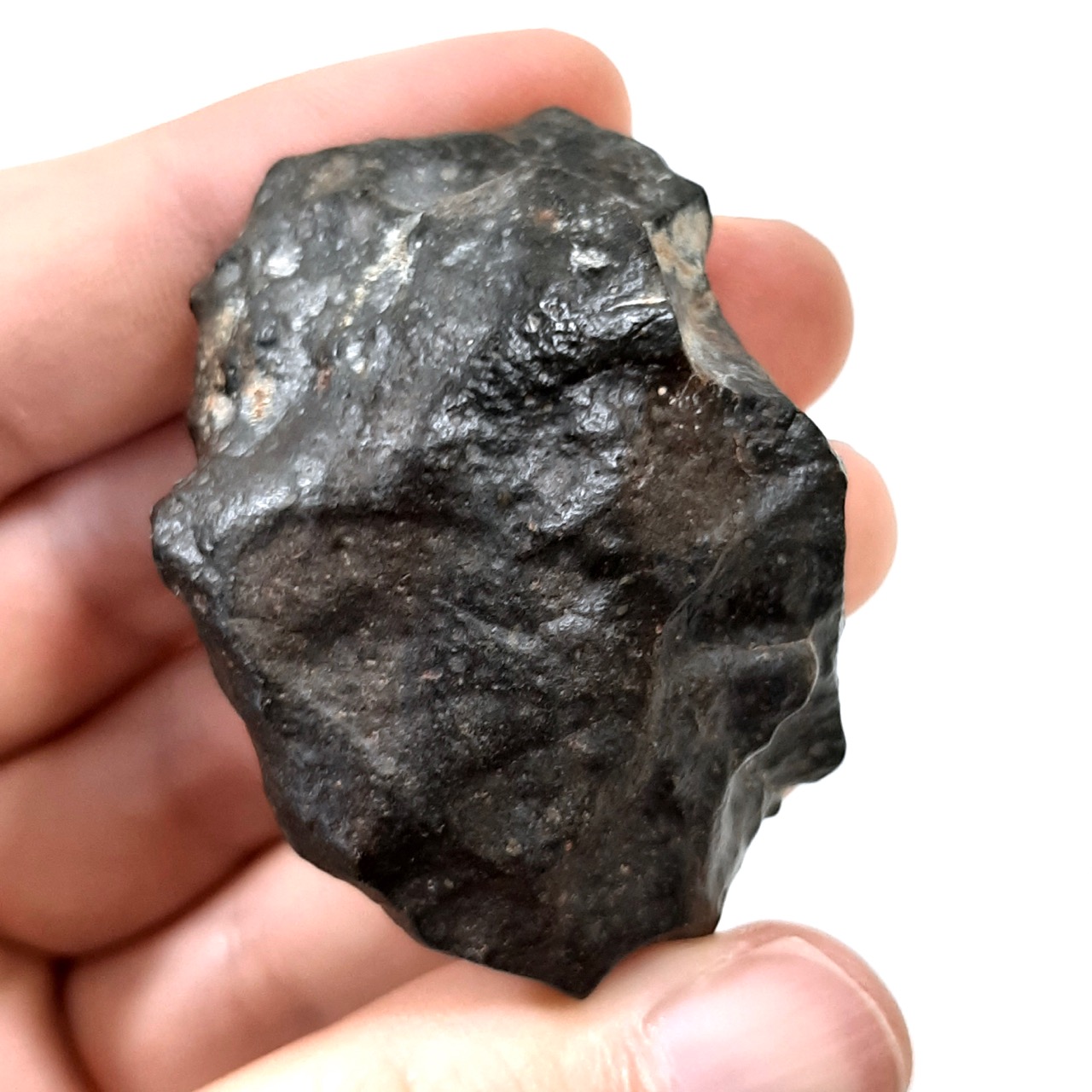 R chondrite. NWA 13518. Rumuruti meteorite.