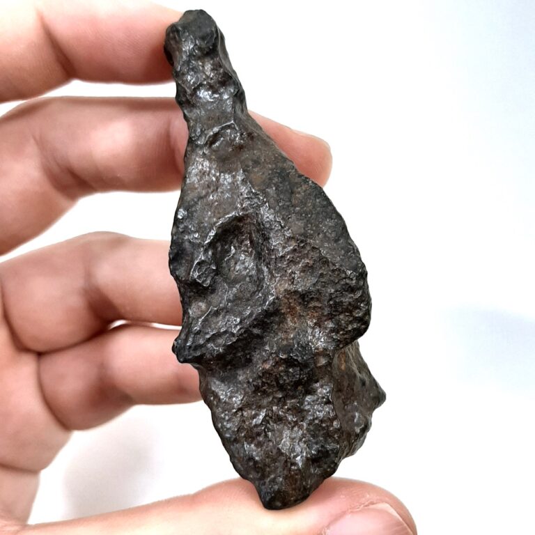 R chondrite. NWA 13518. Rumuruti meteorite. Long shape.