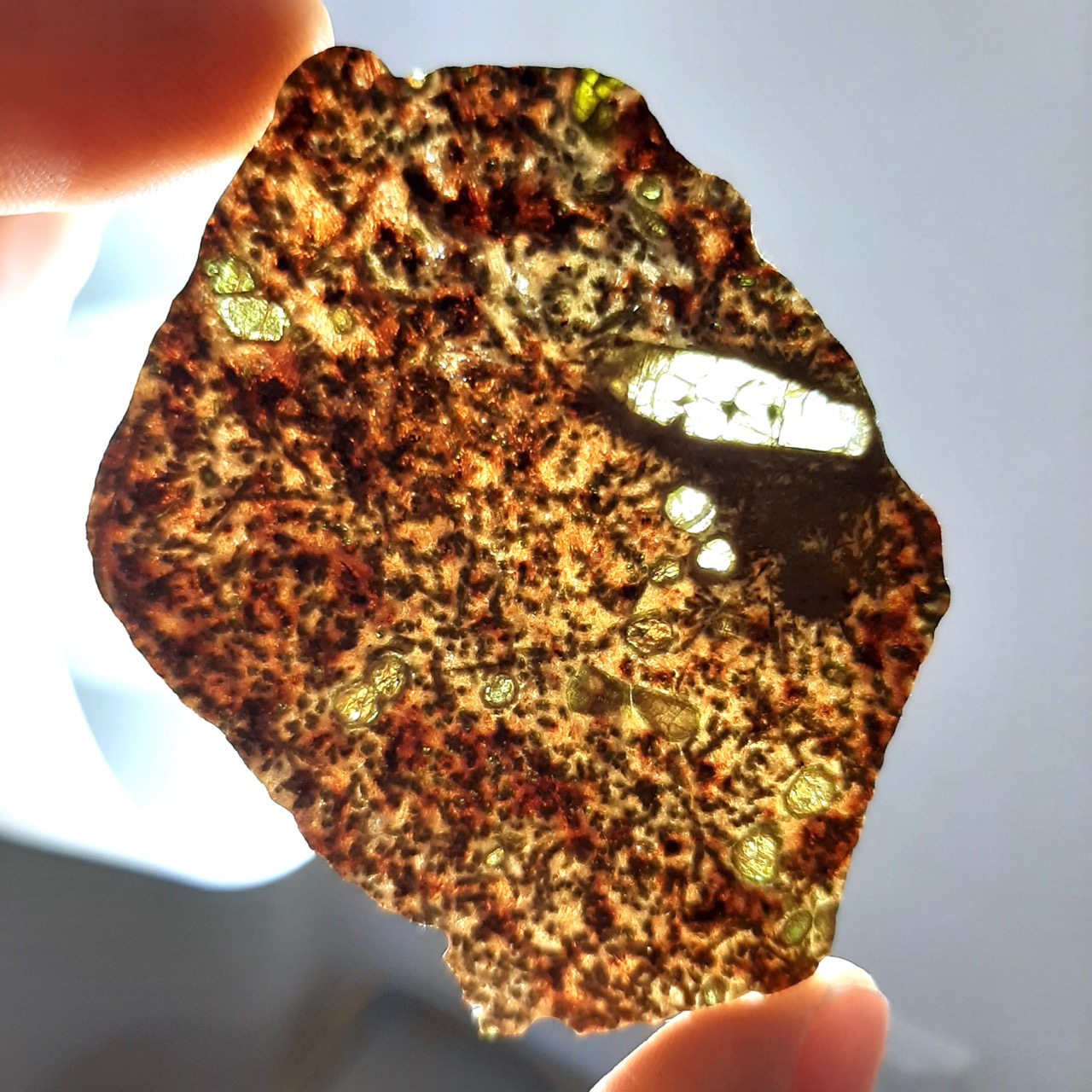 Erg Chech 002 meteorite. Oldest lava in Solar System. Slice.