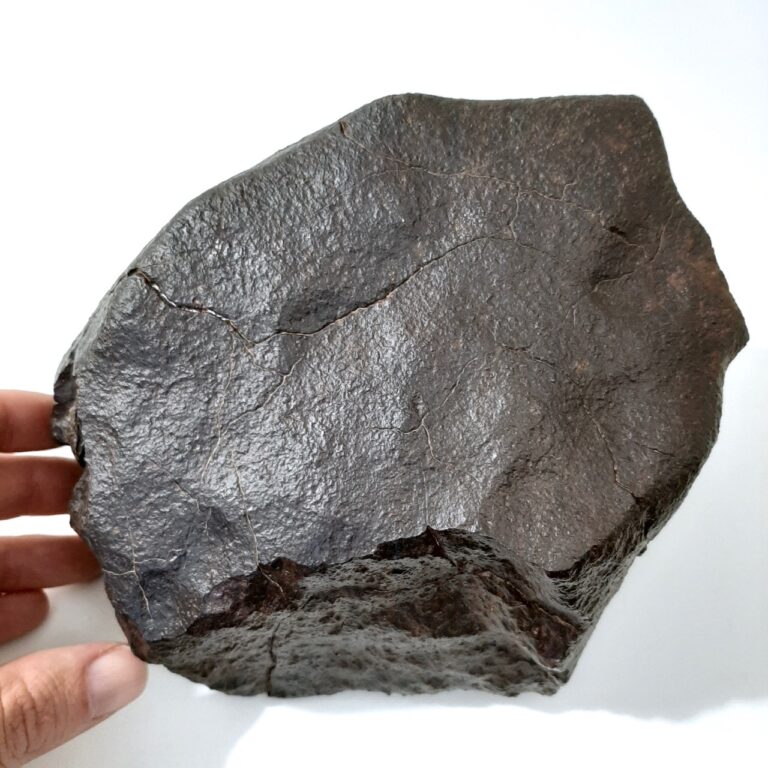 Chondrite meteorite. Big piece with fusion crust.