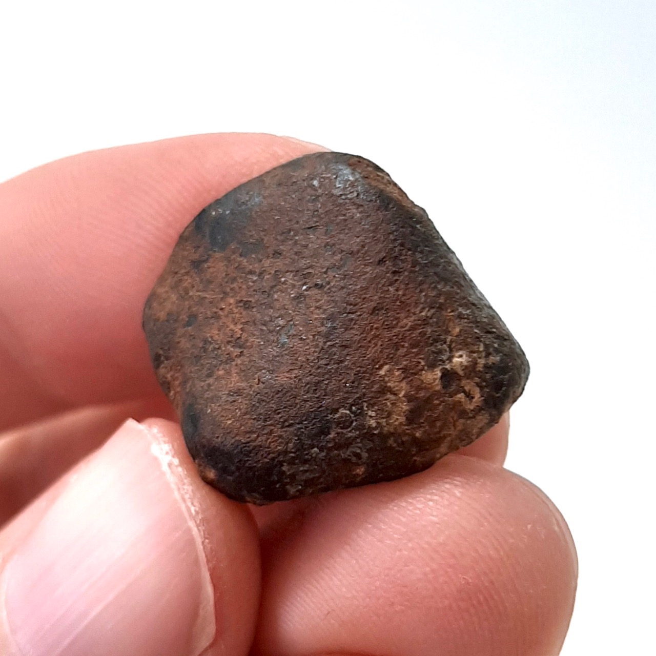 Taza meteorite. NWA 859.