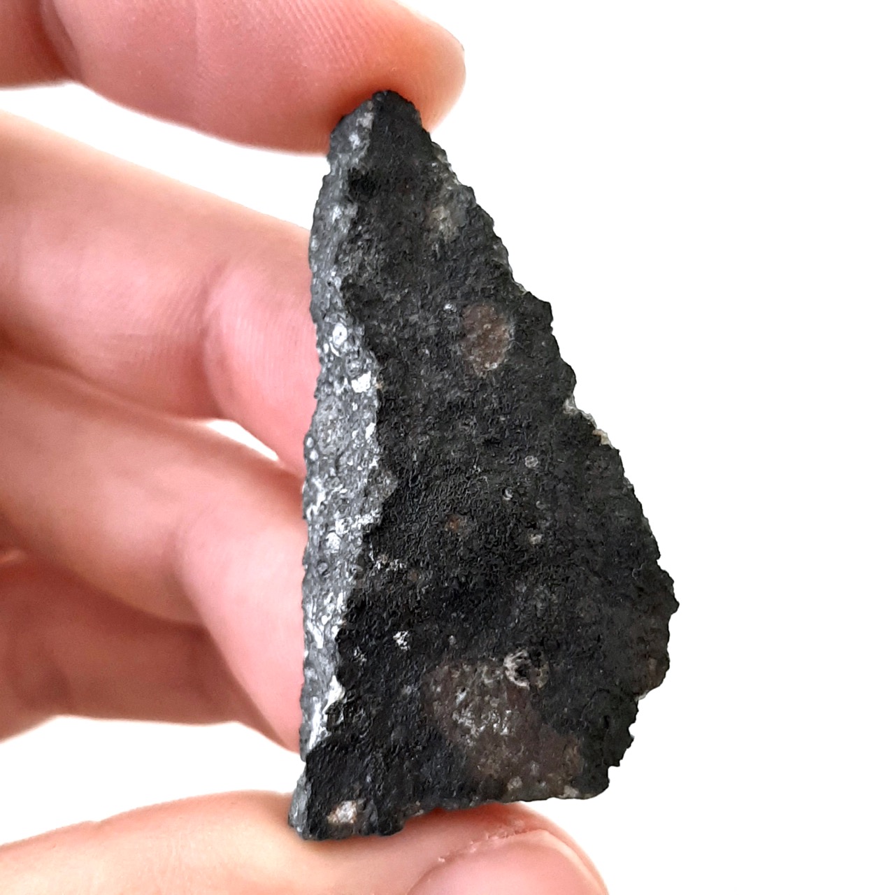 Allende meteorite. CV3 chondrite.