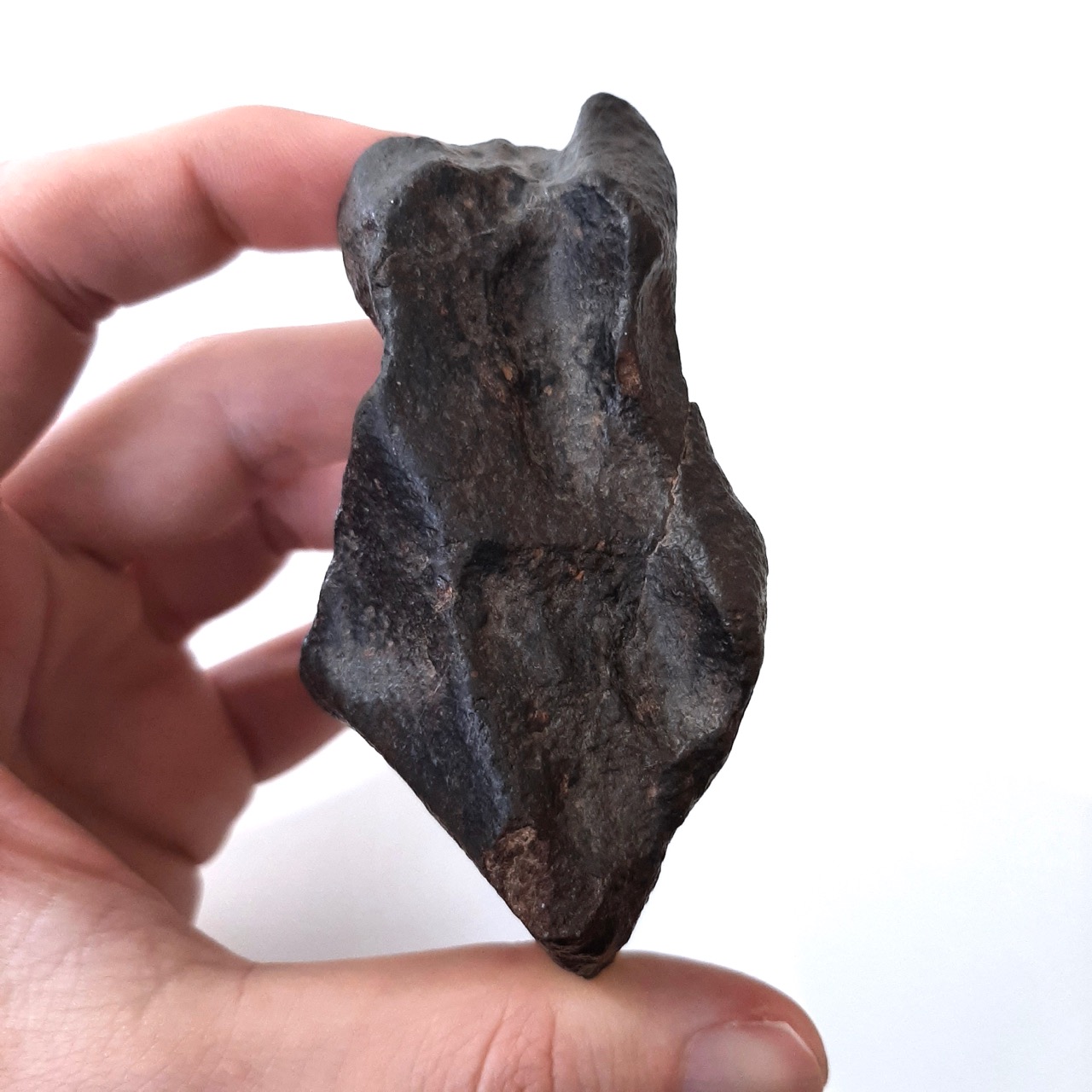 Chondrite meteorite. Nice shape.